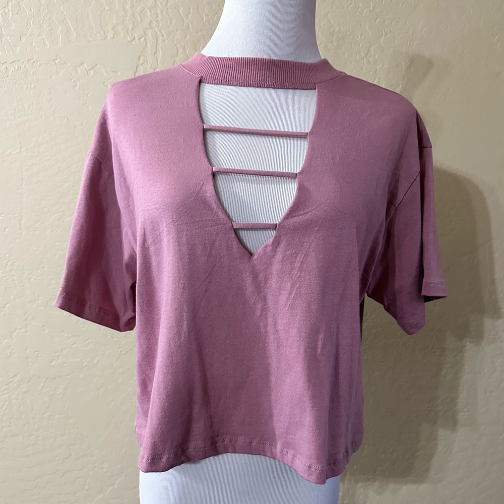 Wild Fable Dust Rose V-neck Crop Top